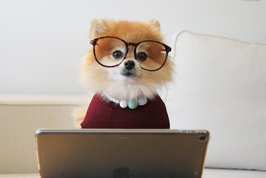 9 Ideas to Make Your WFH Office More Ergonomic and Comfortable in 2023