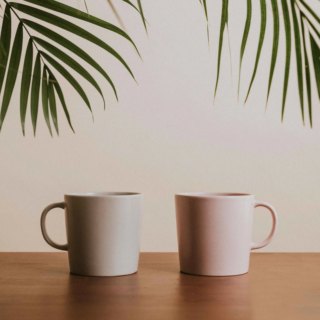 Ceramic vs Porcelain Mugs Pros, Cons, and Best Uses CURVD